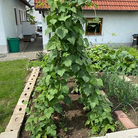 Ferienwohnung Eibenweg Gebsattel Luaran gambar